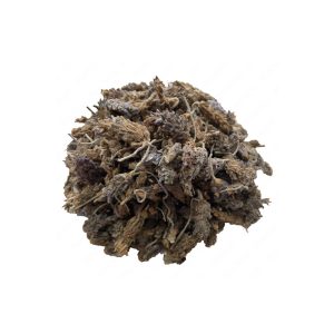 www.attaribasir.ir - عطاری بصیر - اسطوخودوس