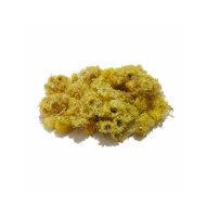 www.attaribasir.ir - عطاری بصیر - افسنطين